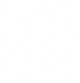 snowflake pattern.png