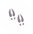 Asset%205%402x_edited.png