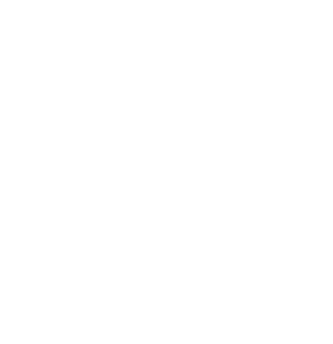 snowflake pattern.png