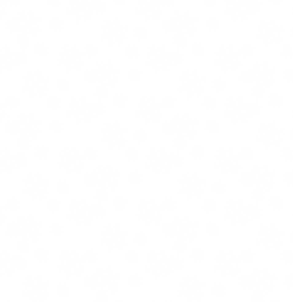 snowflake pattern.png