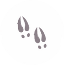 Asset%205%402x_edited.png