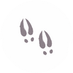 Asset%205%402x_edited.png