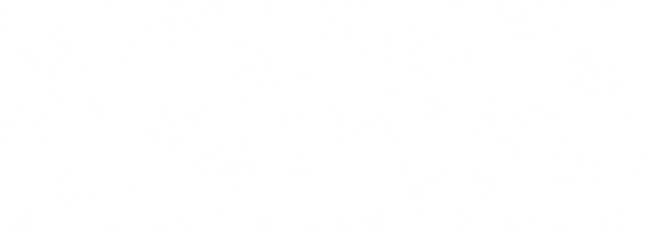 snowflake pattern.png